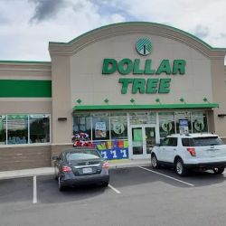 Dollar Tree ico