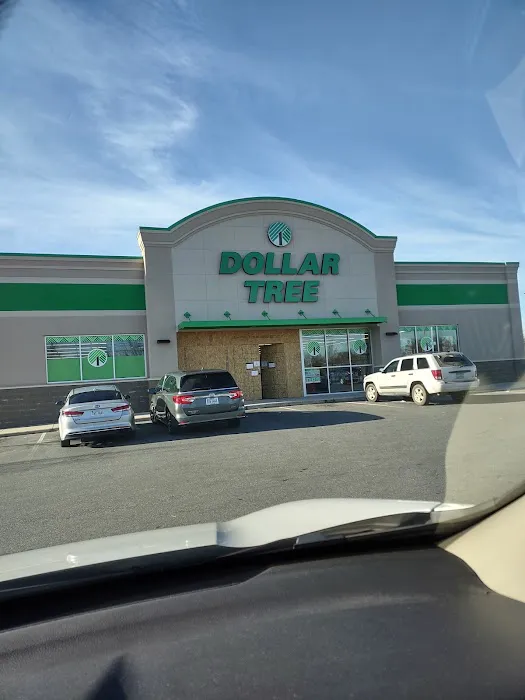Dollar Tree 4