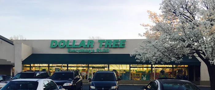 Dollar Tree 3