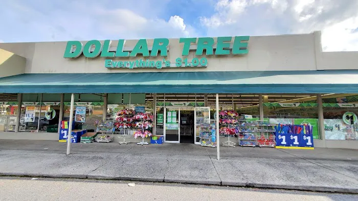Dollar Tree 1