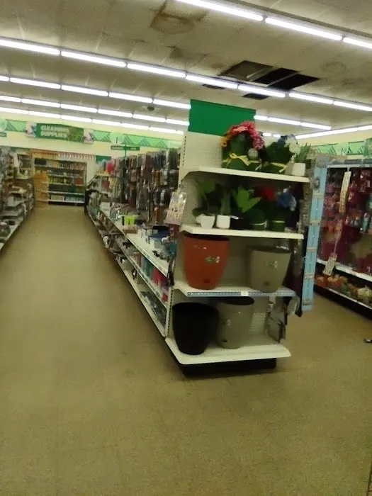 Dollar Tree 5