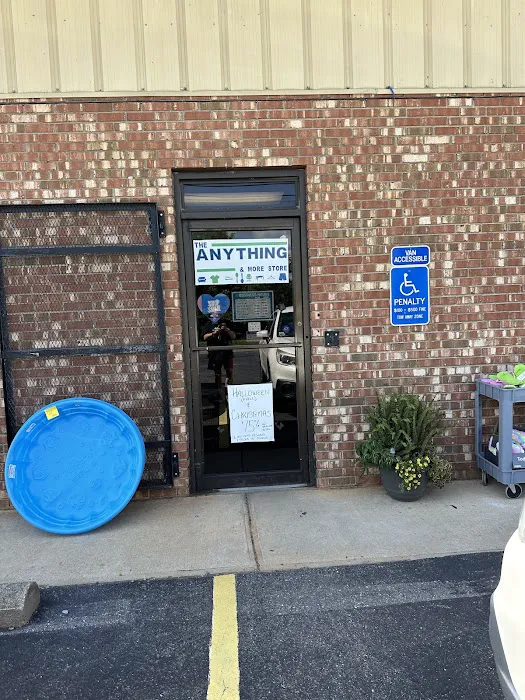 The Anything & More Store 2