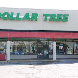 Dollar Tree ico