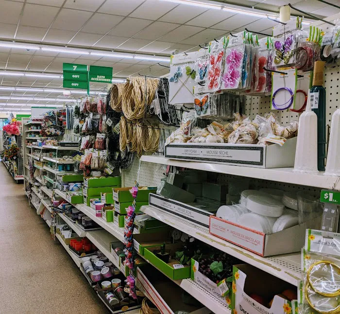 Dollar Tree 5