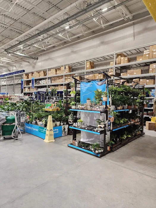 Lowe's Home Improvement 1