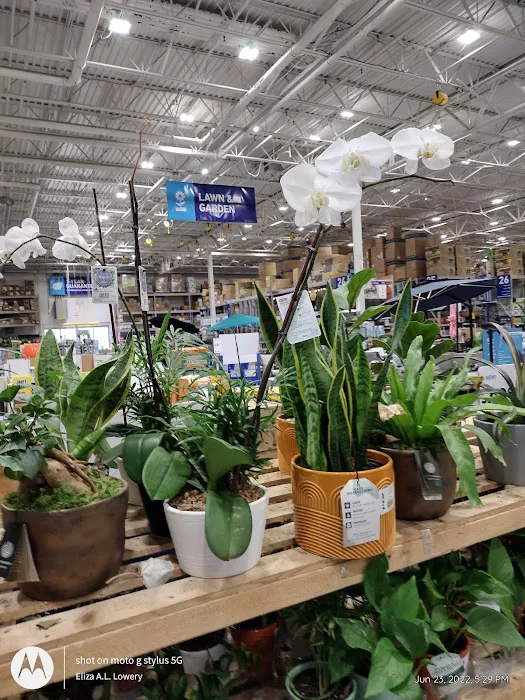 Lowe's Home Improvement 2