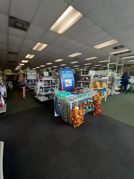 Dollar Tree 0