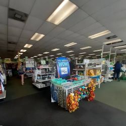 Dollar Tree ico