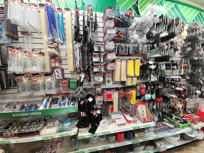 Dollar Tree 5