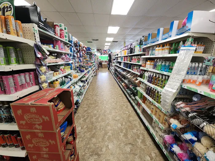 Dollar Tree 6