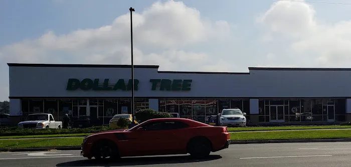 Dollar Tree 9