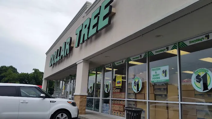 Dollar Tree 8