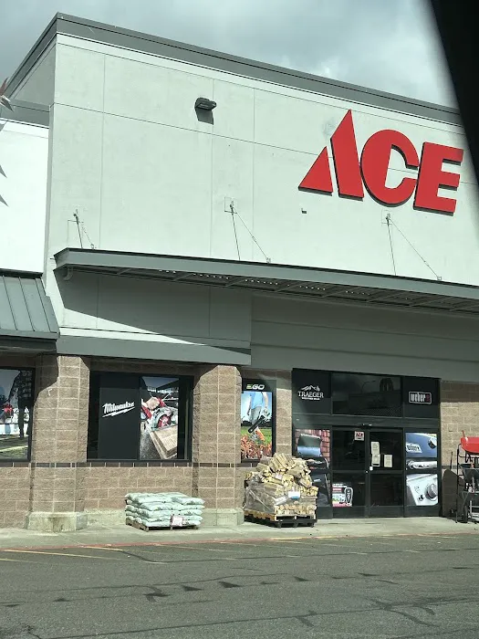 Milton Ace 8