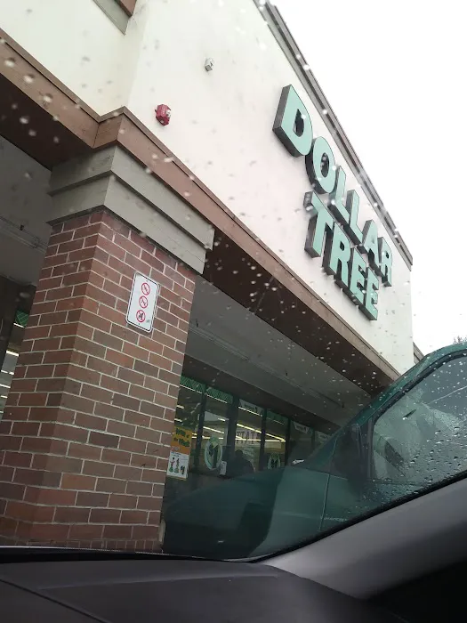 Dollar Tree 8