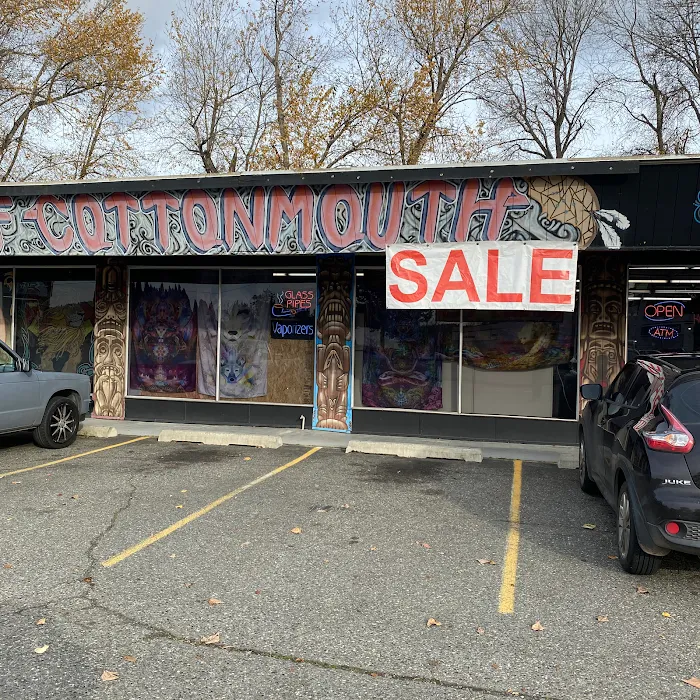 Chief Cottonmouth Smoke Shop 8