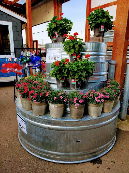 McLendon Hardware 8