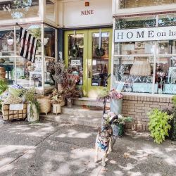 Home on Haddon ico