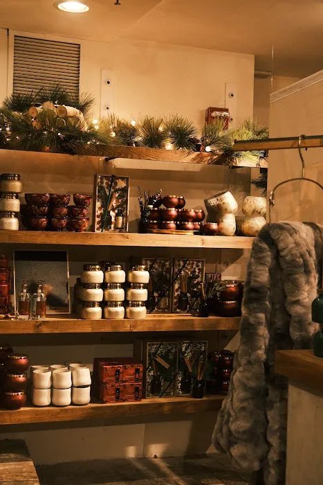 Anthropologie 1