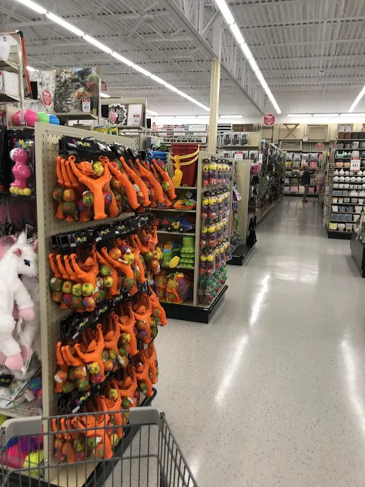 Hobby Lobby 6
