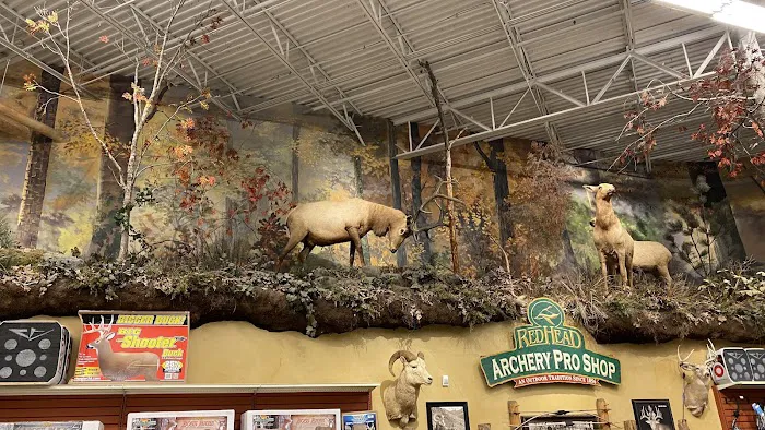 Bass Pro Shops 5