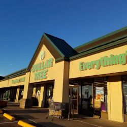 Dollar Tree ico