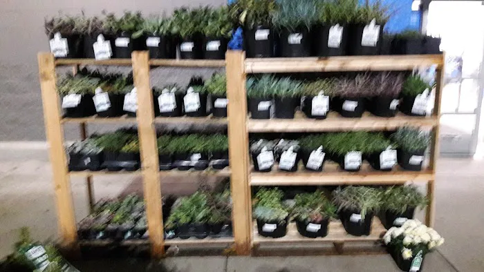 Walmart Supercenter 3