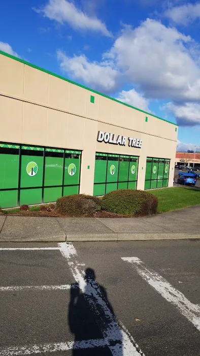 Dollar Tree 8