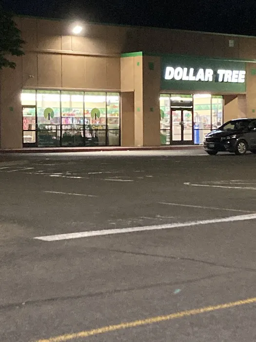 Dollar Tree 7