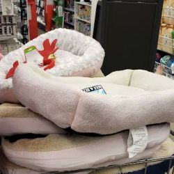 Five Below ico