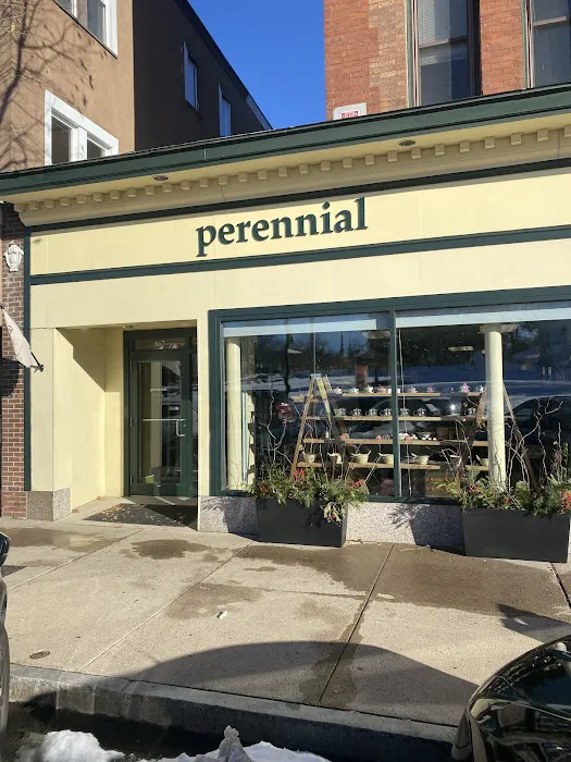 Perennial 9