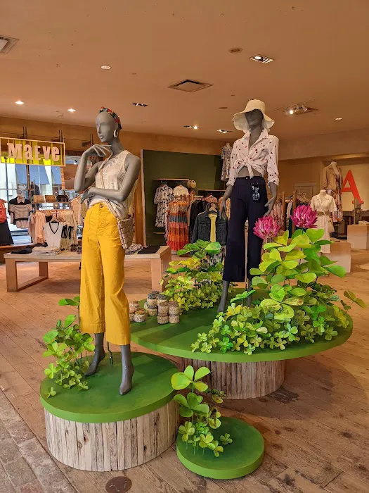 Anthropologie 3