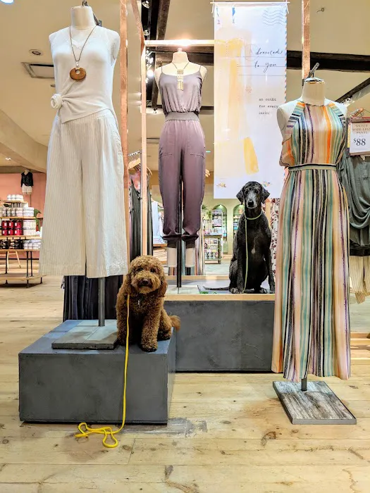 Anthropologie 0