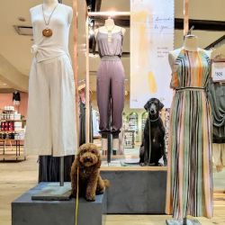 Anthropologie ico