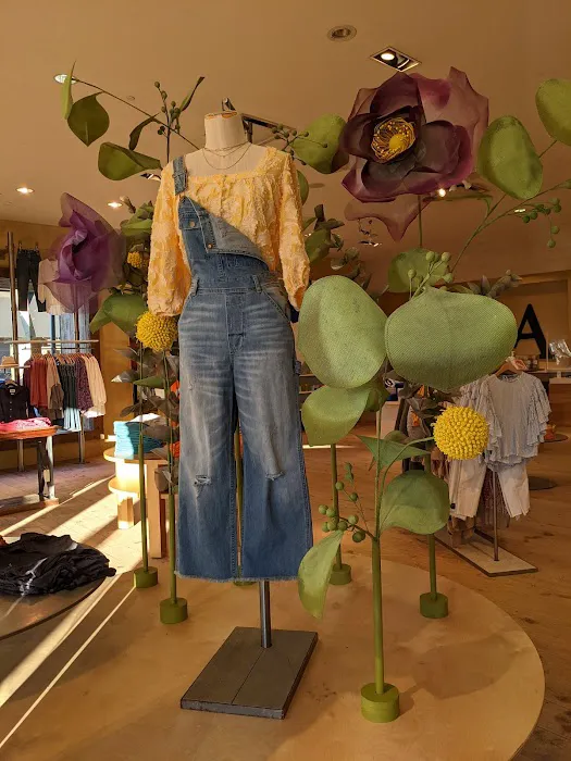 Anthropologie 2