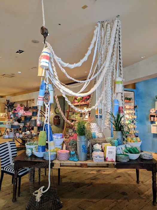 Anthropologie 6