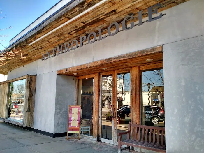 Anthropologie 7