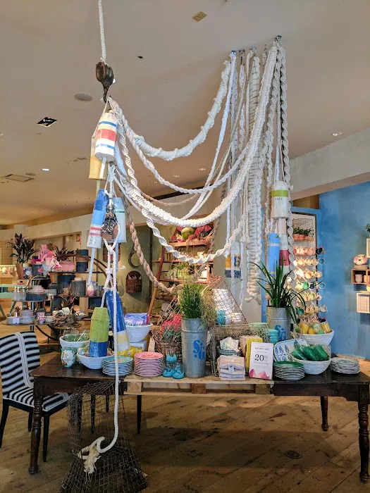 Anthropologie 4