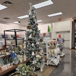 Kohl's ico