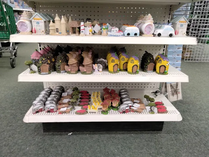 Dollar Tree 1