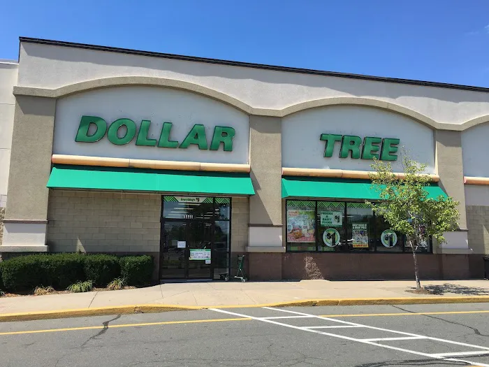 Dollar Tree 4