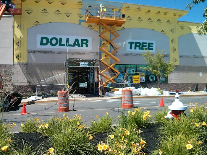 Dollar Tree 9