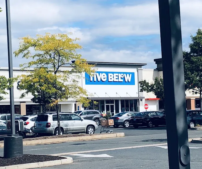 Five Below 5