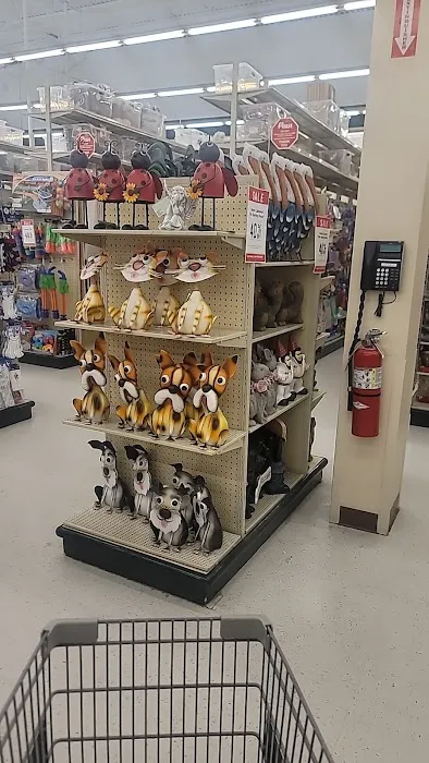 Hobby Lobby 7
