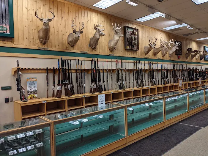 Cabela's 4