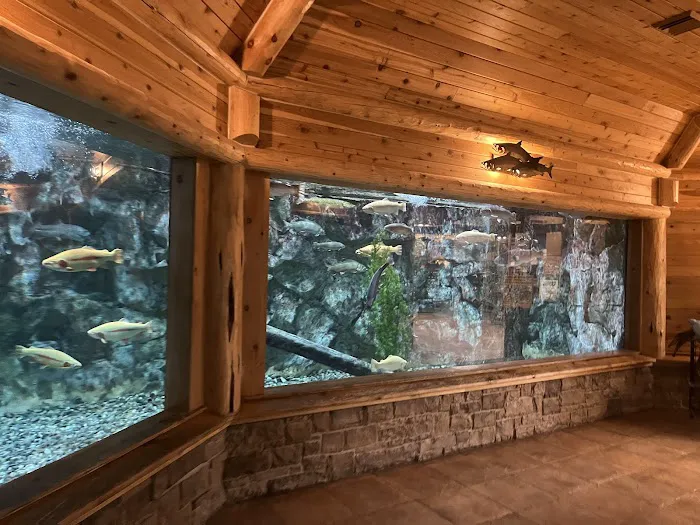 Cabela's 9