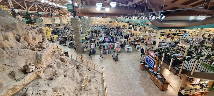 Cabela's 5