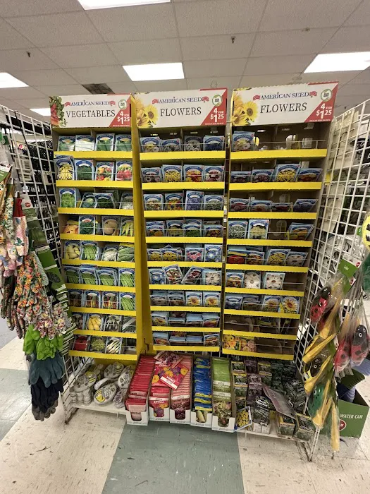 Dollar Tree 2
