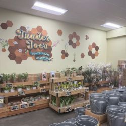 Trader Joe's ico