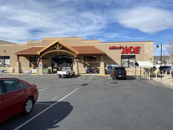 Ace Hardware Lone Peak 2