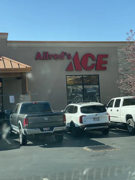Ace Hardware Lone Peak 3